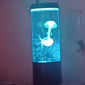 Meet your Posher, Lisa Offers Welcome